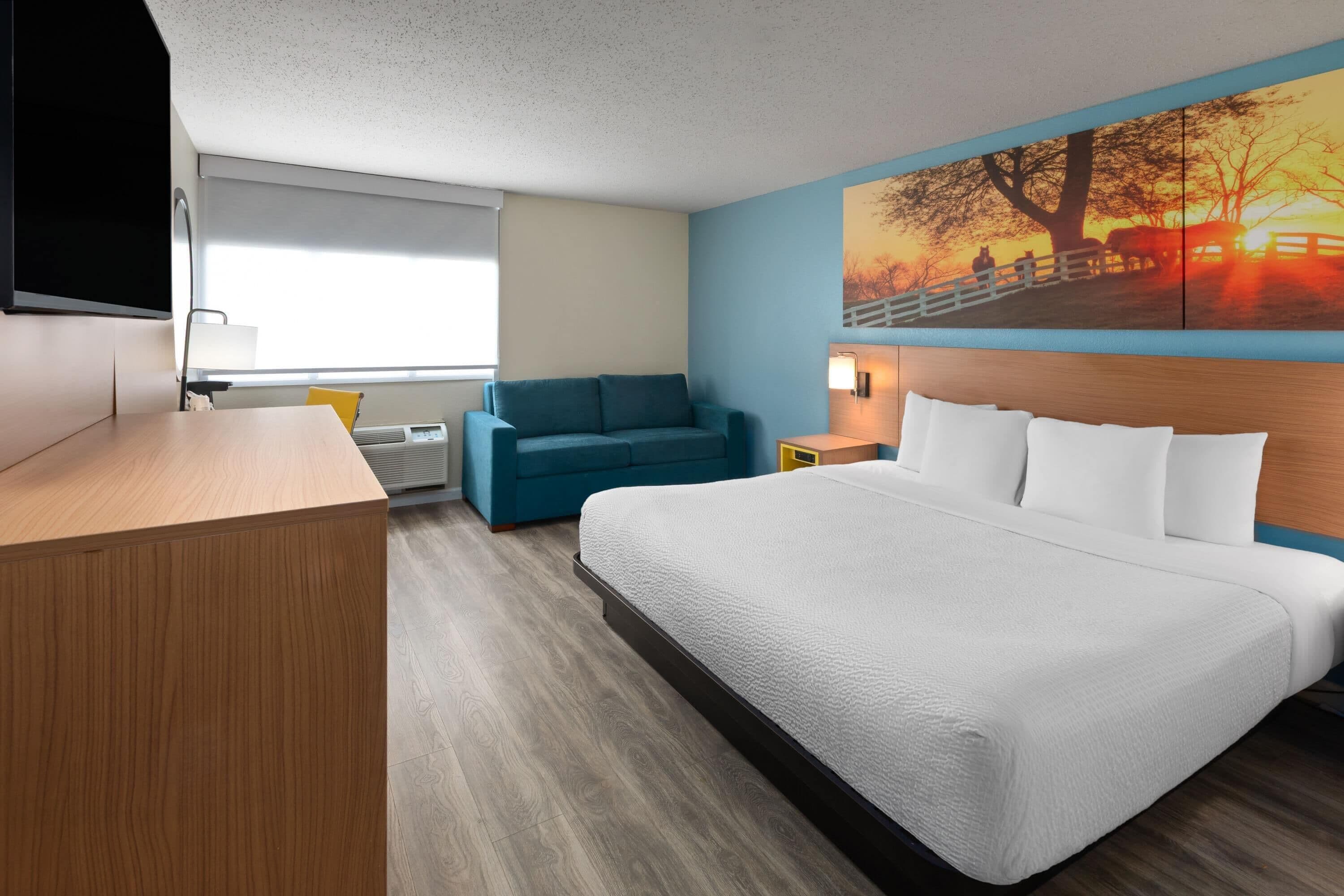 Una habitación de hotel con cama, escritorio, silla, televisor y un cuadro en la pared.