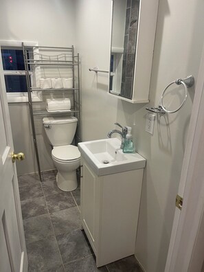 A compact bathroom with a toilet, a sink, and a towel rack. - Lakefront Cottage, Private dock, Near ballparks (Roach)