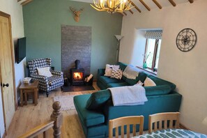 TV, fireplace - Hebron Rural cottage in an old chapel (Denbigh)