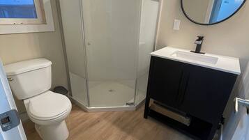 Hair dryer, towels, toilet paper