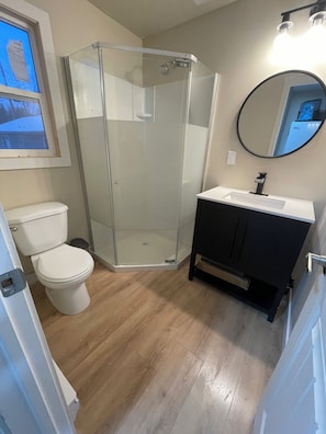 Hair dryer, towels, toilet paper