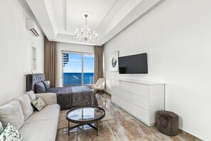 TV, fireplace, offices, computer monitors