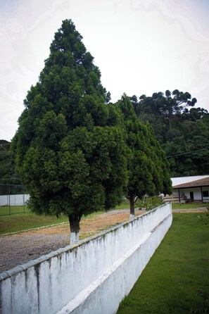 Área da propriedade