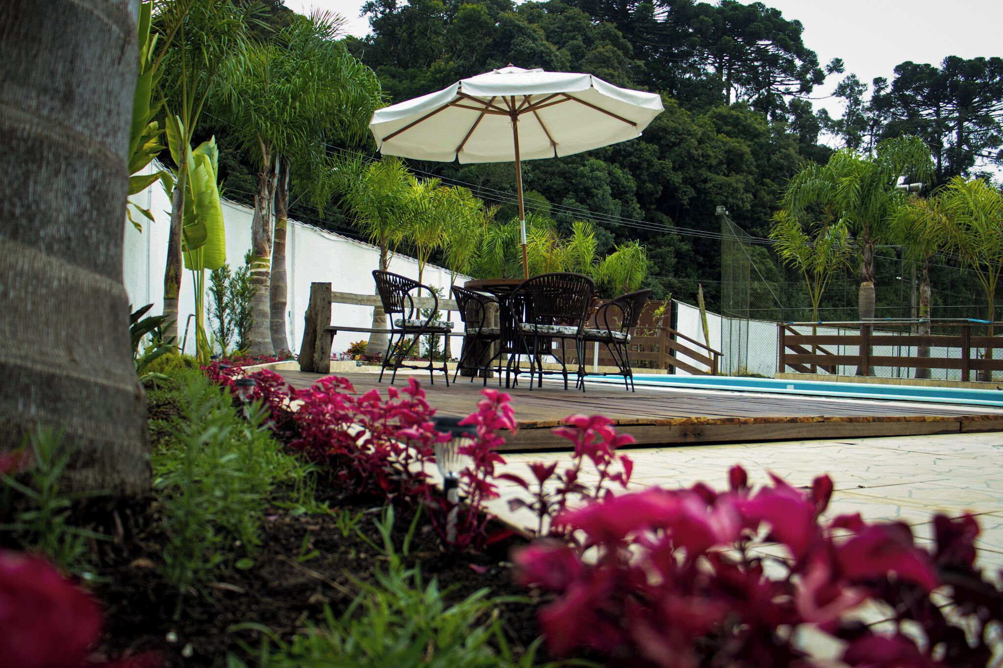 รับประทานอาหารกลางแจ้ง