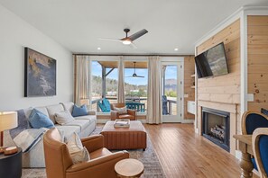 Smart TV, fireplace, books