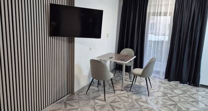 Lovely 1-bedroom apartment with AC in charming Târgu Jiu
Elegant Central Studio