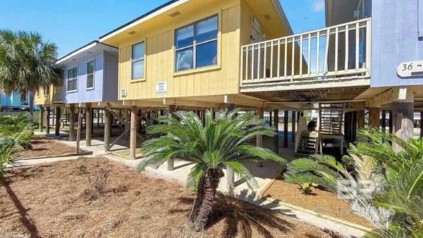 A row of yellow and blue buildings with a balcony, palm trees, and a sandy ground. - Pet Friendly Beach Access Hangout Nearby Sleeps 6 (Gulf Shores)