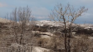 A landscape with barren trees and rocky terrain. - Guest House Manoir de Salleviale Conques en Rouergue Aveyron (Conques-en-Rouergue)