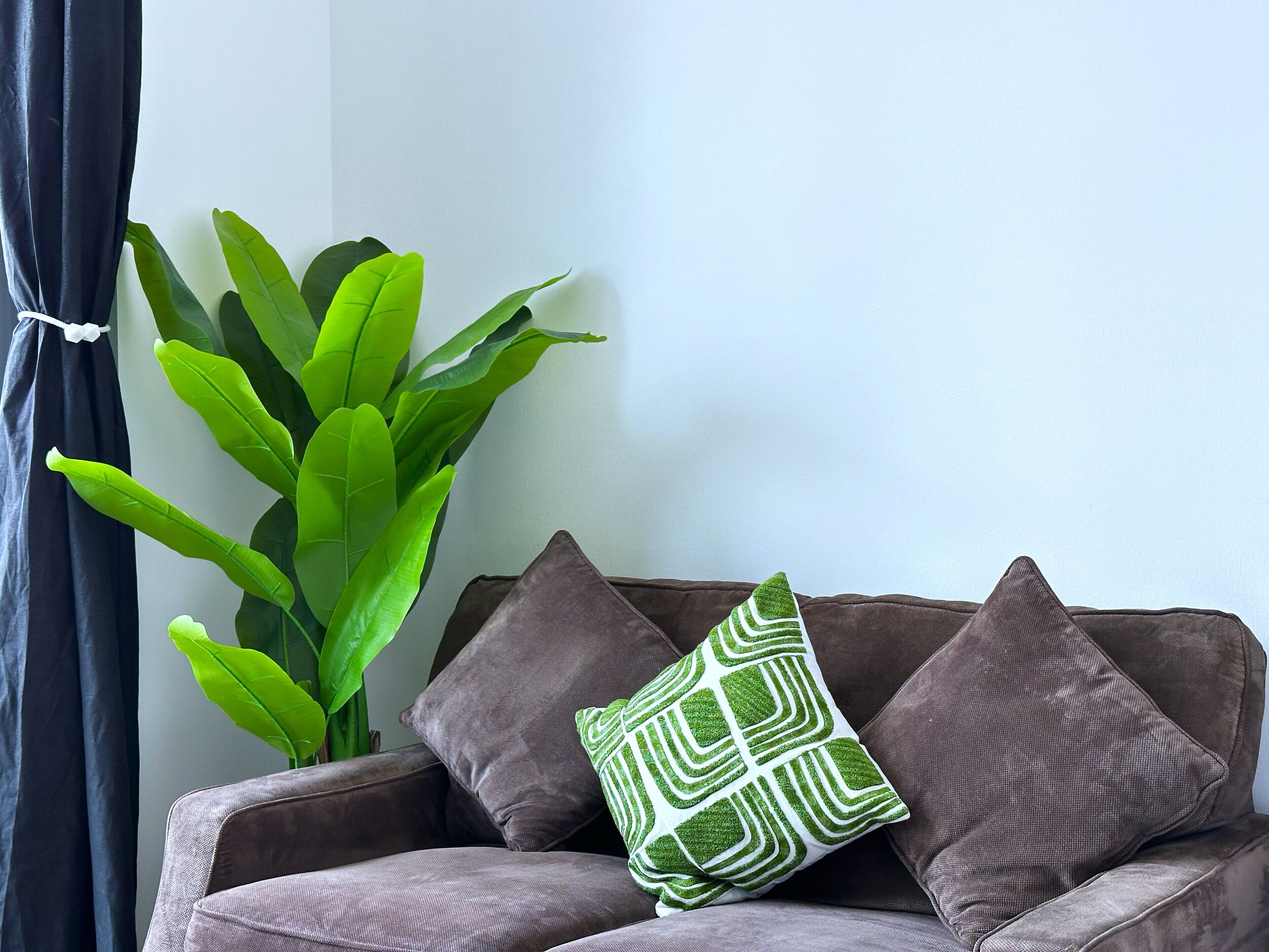 A brown sofa with two pillows, one plain and one with a green pattern, and a large green plant beside it.