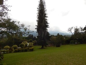 Terrace/patio - Romeral Club Campestre (La Estrella)