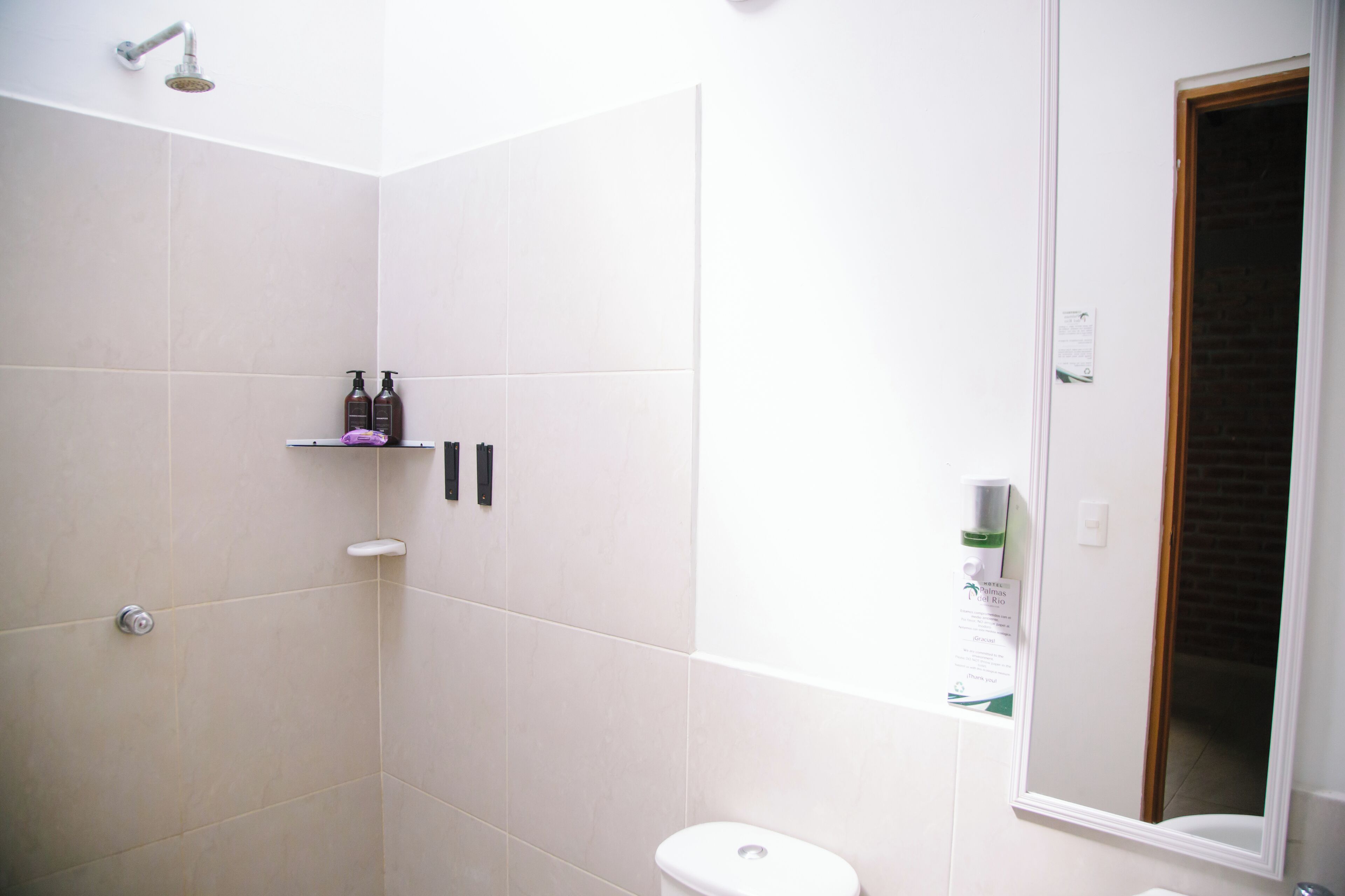 Een badkamer met een douche, toilet en spiegel.