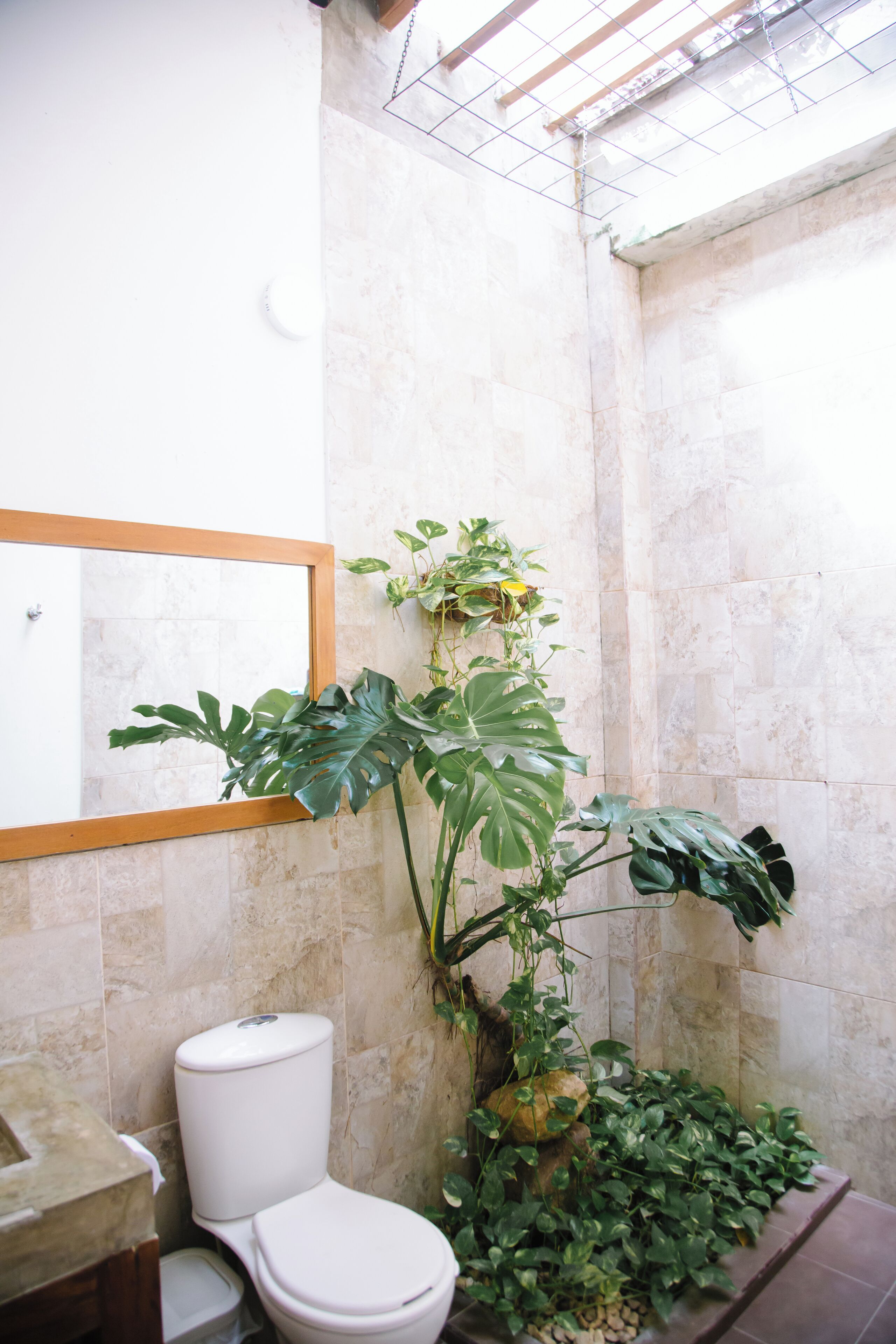 Ein Badezimmer mit Toilette, Waschbecken und einem großen Spiegel. Pflanzen und ein Duschbereich sind zu sehen.