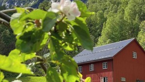 Exterior - Lodge in a unique fjord (Vikøyri)