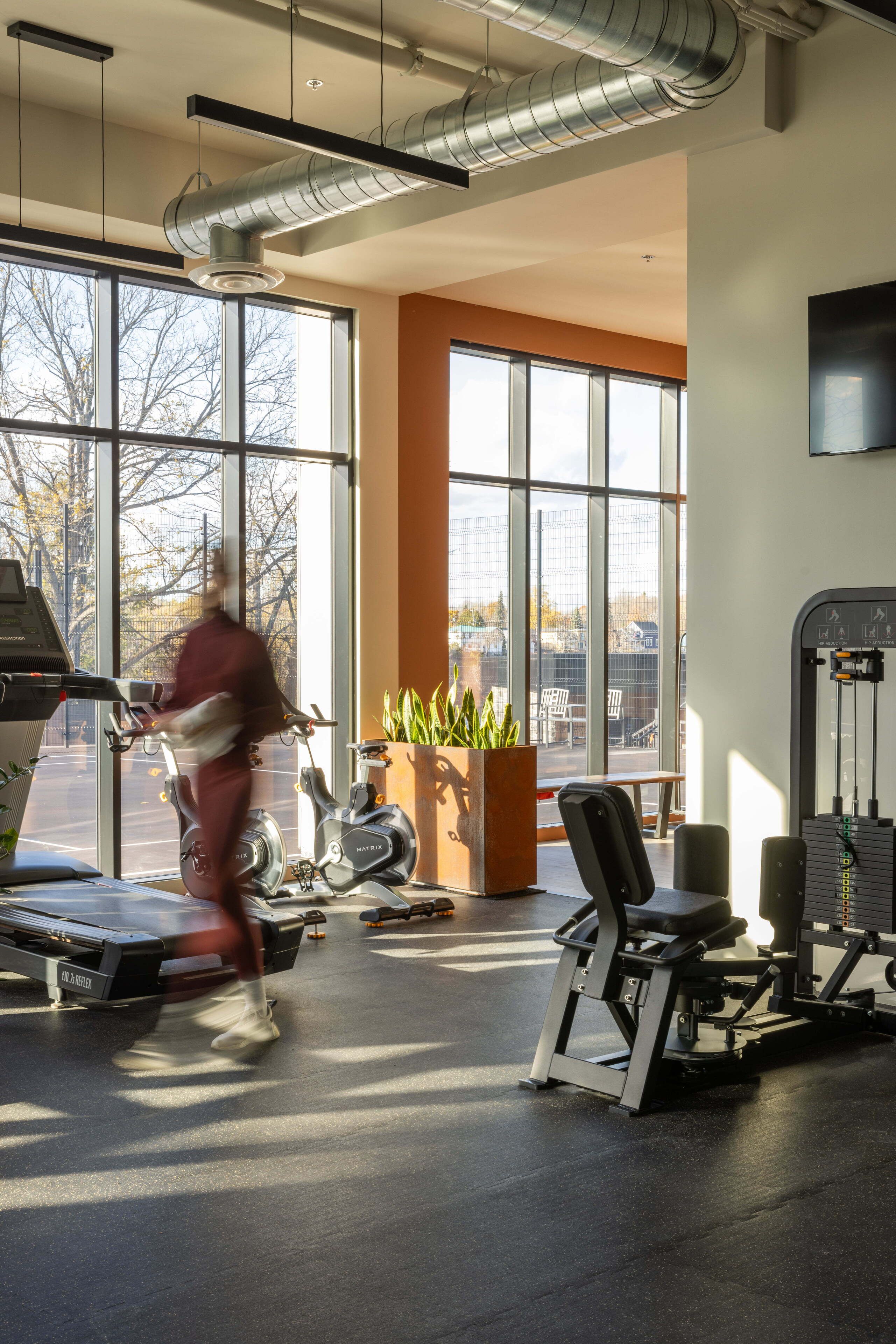 A gym with exercise equipment, large windows, and a plant.