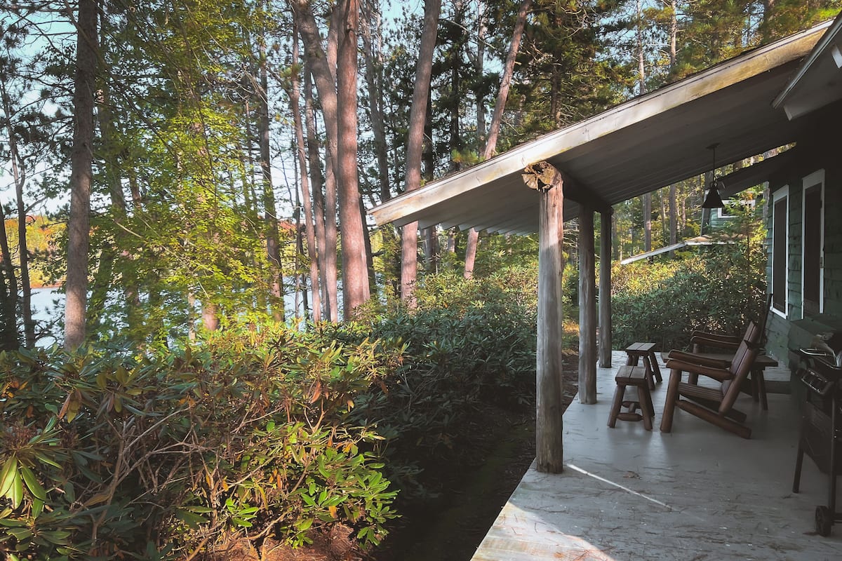 Un espacio al aire libre cubierto con bancos de madera y una mesa, rodeado de vegetación densa y árboles altos.