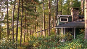 Eine Hütte im Wald, ein Pfad führt hindurch.