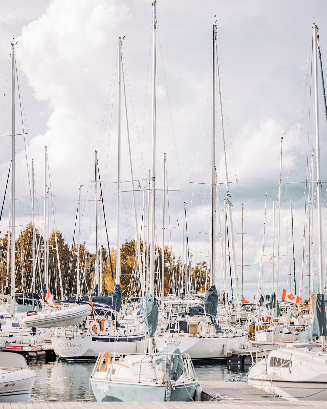 Un port de plaisance où sont amarrés de nombreux voiliers, entouré d’arbres et surplombé par un ciel nuageux.