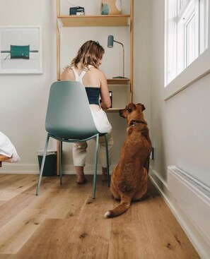 Habitación de diseño, vistas al patio | Interior