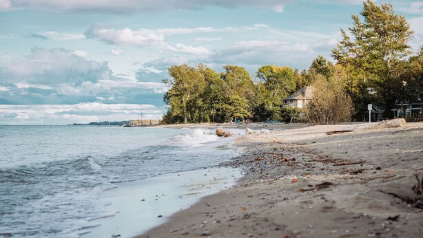 A beach with a sandy shore, trees, and a house in the background. - Penny's Motel & Apres (Thornbury)