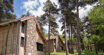 Chalet 6/8 people - Les Sous-Bois de la Bastide