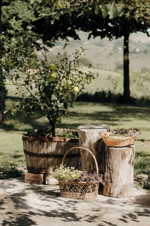 Overnattingsstedets uteområder