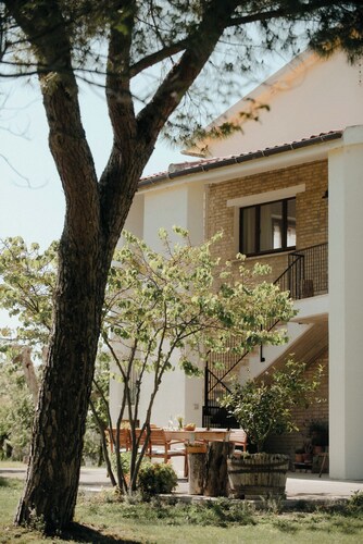 Nestled among olive trees with spectacular views, perfect for relaxation