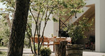 Nestled among olive trees with spectacular views, perfect for relaxation