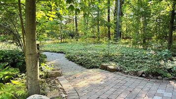 Terrain de l’hébergement