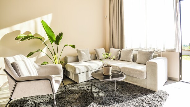 A modern living room with a sofa set, a coffee table, and a large plant. - THE LYNX KONITSA (Konitsa)