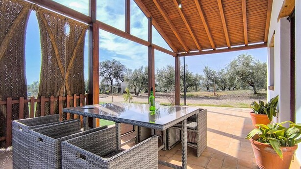 An outdoor patio with a glass-top table, wicker chairs, and potted plants. - Beautiful home in Adamuz (Adamuz)