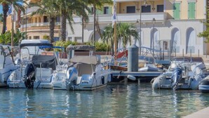 Un port de plaisance où sont amarrés de nombreux bateaux, entouré d’immeubles à plusieurs étages dotés de balcons et de volets verts.