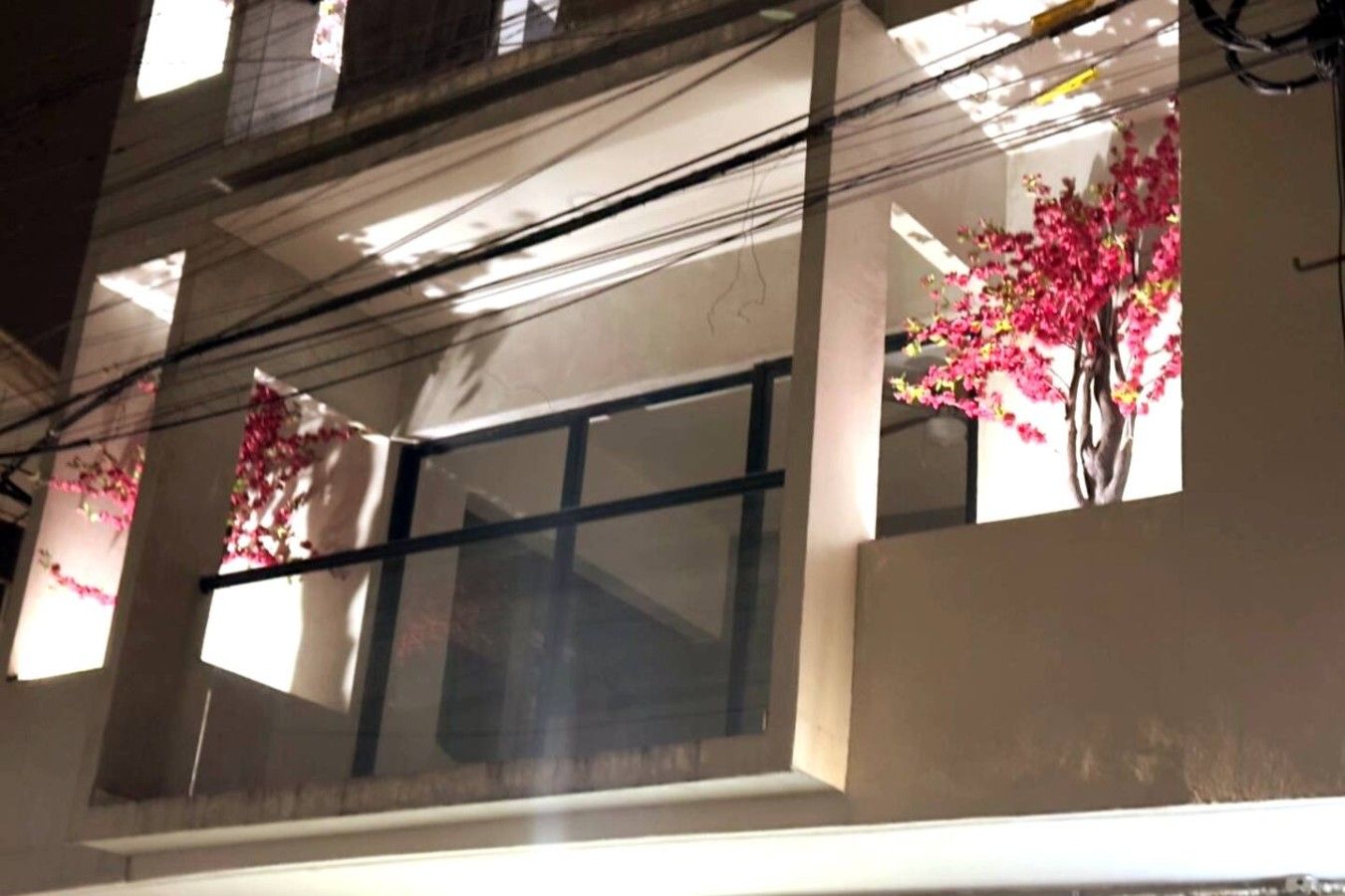 A building with multiple windows, some with visible power lines and a tree with pink flowers outside.
