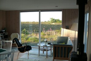 TV, DVD player, stereo - Nature for every penny here at beautiful Læsø (Læsø)