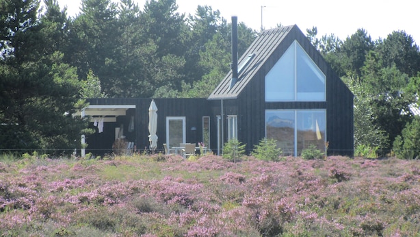 Ein modernes Gebäude mit geneigtem Dach, großen Fenstern und einem umzäunten Garten mit violetten Blumen.