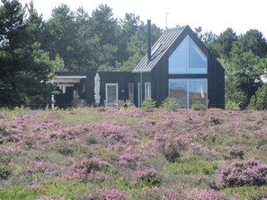 Exterior - Nature for every penny here at beautiful Læsø (Læsø)
