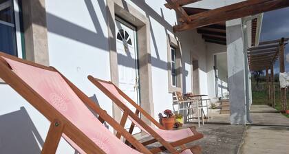 OUR farm, with a garden, animals and vineyards.