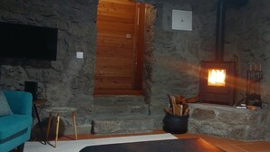 Una habitación con paredes de piedra, una puerta de madera, una chimenea con leña y un sofá azul con televisión montada en la pared.