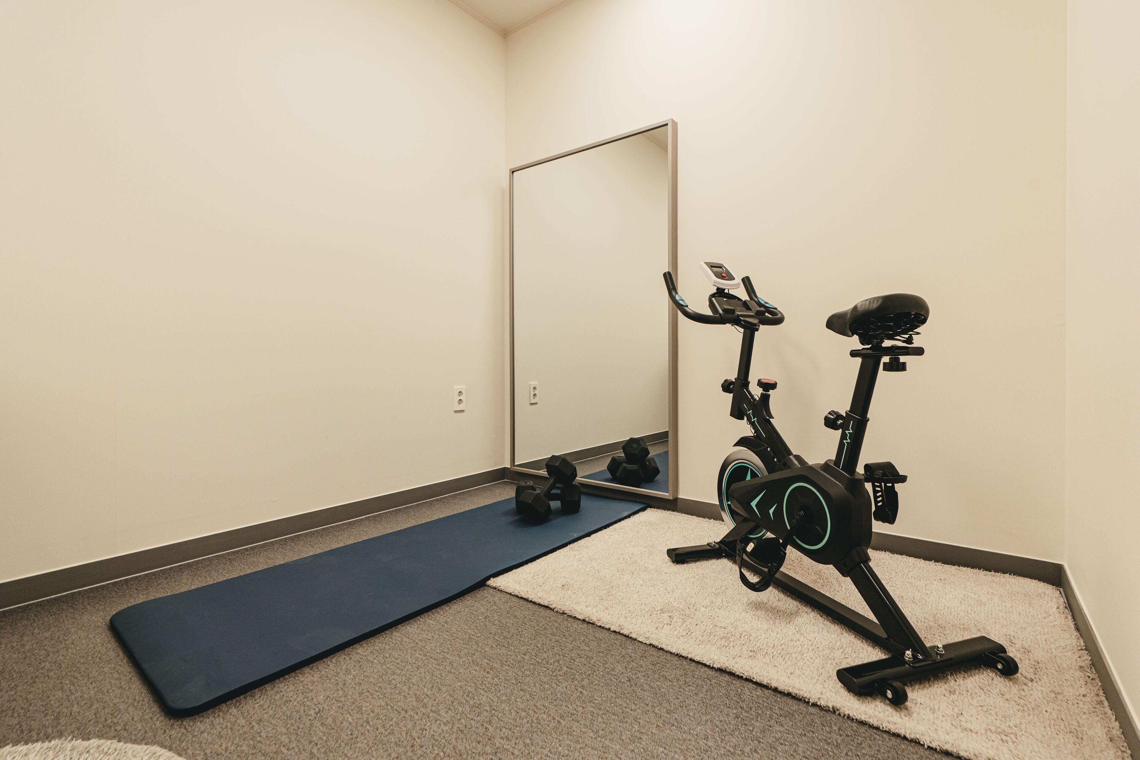 Un gimnasio en casa con una bicicleta estática, una colchoneta azul y un espejo.