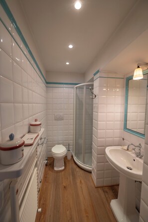 Regadera, secadora de cabello, toallas, papel de baño 