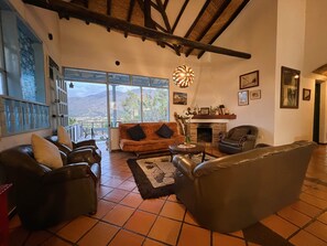 Smart TV, chimenea, videojuegos y libros 