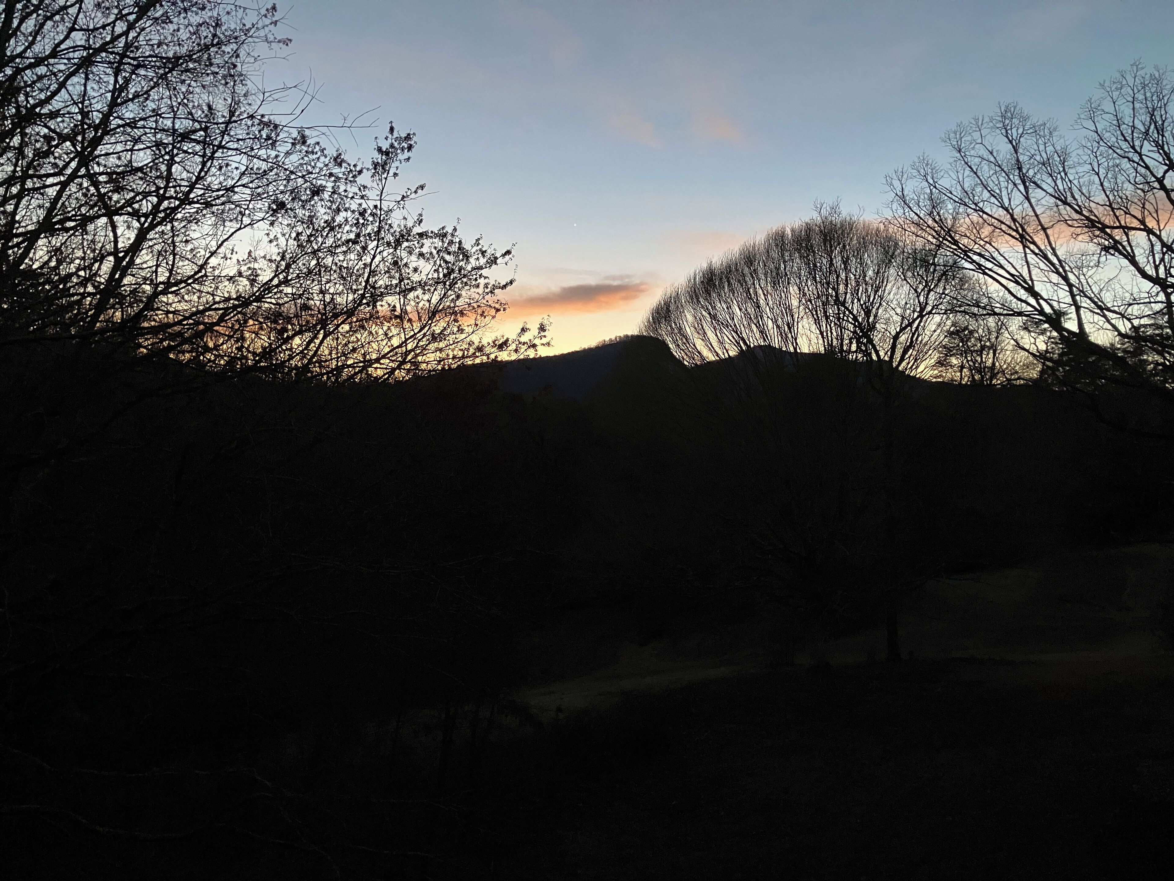 Eine Silhouette einer Landschaft mit Bäumen und einer Hügelkette.