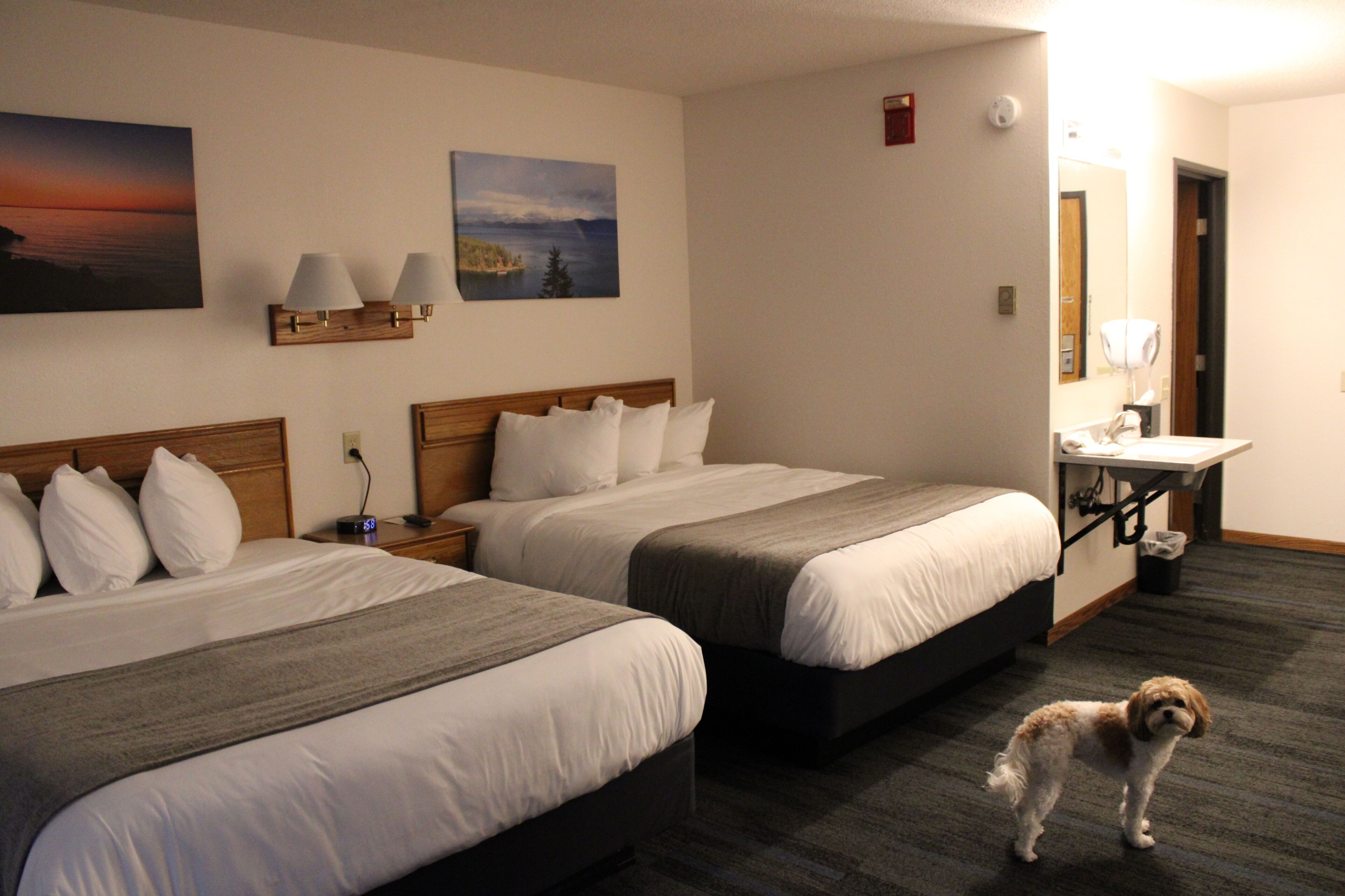 Standard Double Room, 2 Queen Beds, Mobility Accessible, Non Smoking | Desk, free WiFi