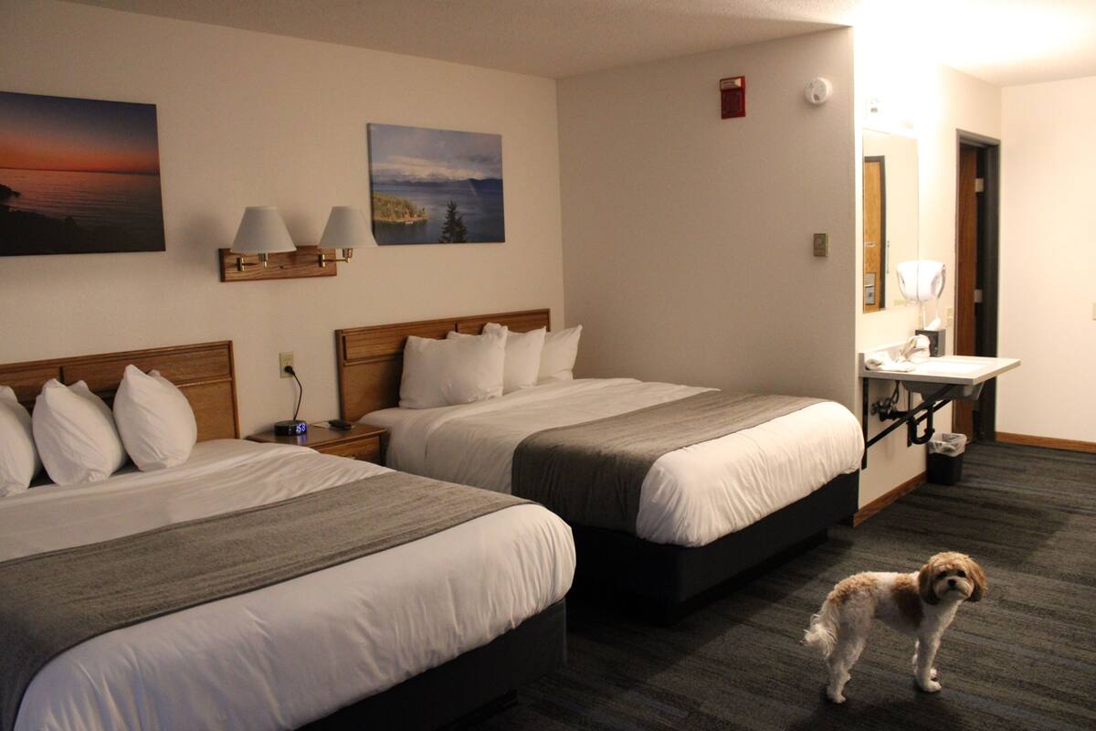 A hotel room with two beds, a desk with a mirror, and a small dog.