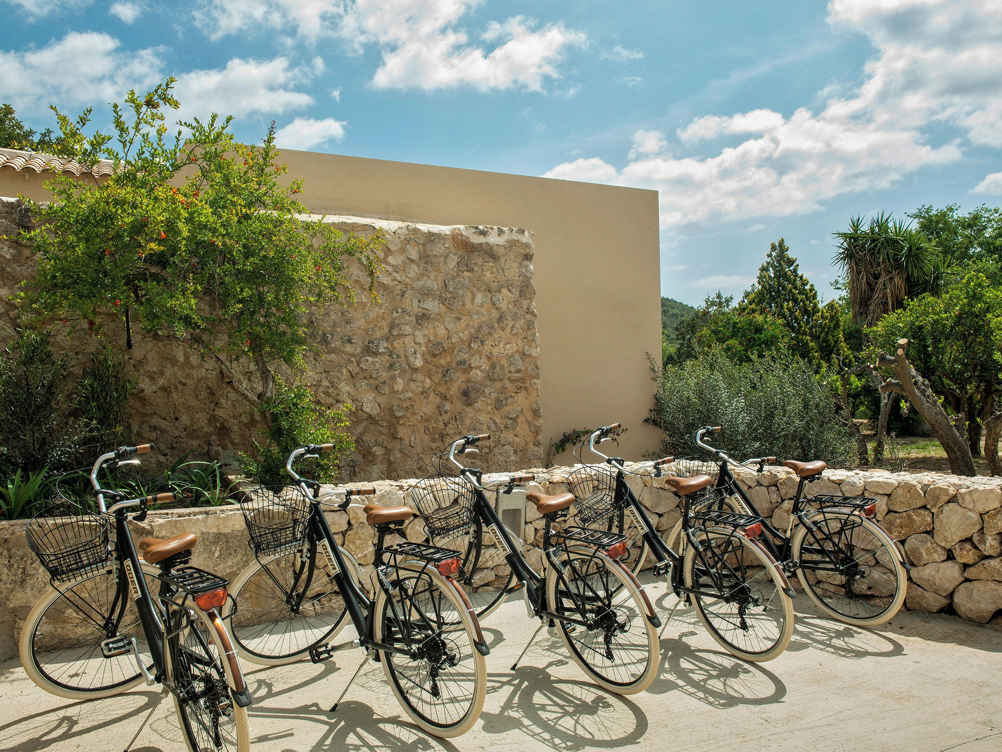 Una hilera de bicicletas estacionadas frente a un muro de piedra, con un cielo despejado al fondo.