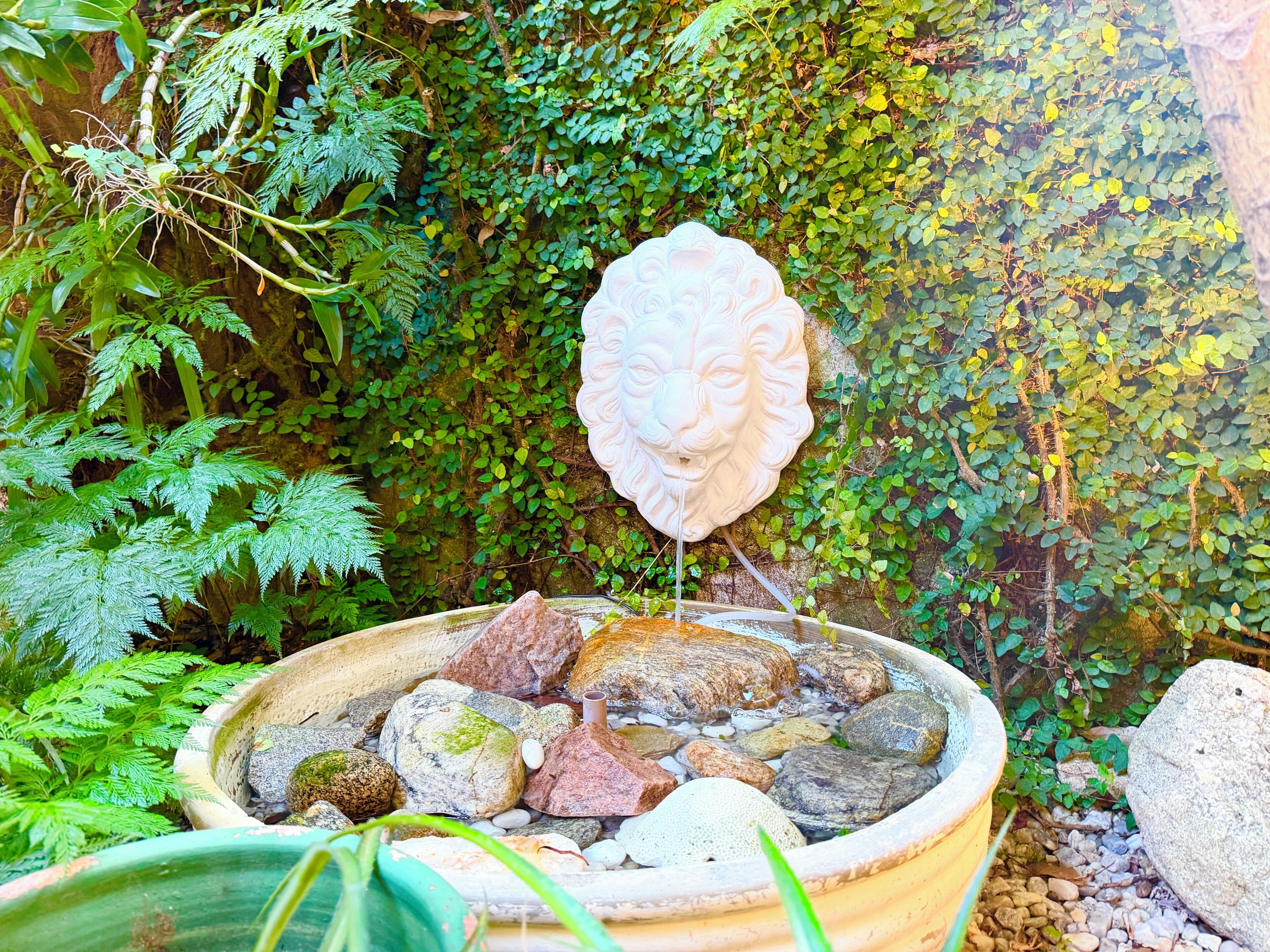 A garden with a decorative lion head fountain surrounded by rocks and greenery.