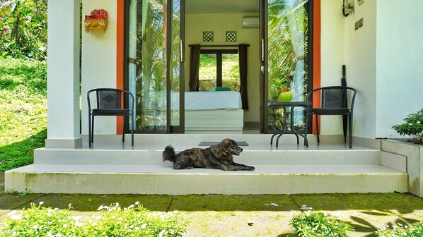 Un chien est allongé sur les marches d’une maison, avec un jardin en arrière-plan.