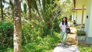 A pathway surrounded by lush greenery and palm trees, leading to a building with a tiled roof and a white exterior wall. - Jepun Sesandan Yoga & Retreat (Selemadeg)