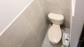 Standard-huone | Kylpyhuone | Suihku, saippua, sampoo, vessapaperi