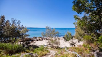 Plage à proximité, serviettes de plage