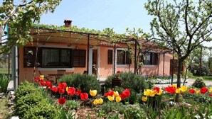 Una casa con jardín, con tulipanes rojos y amarillos.